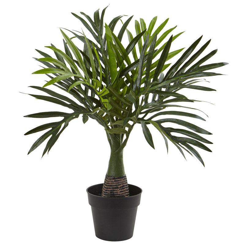 Plante de palmier artificielle 12,25" dans une doublure en pot