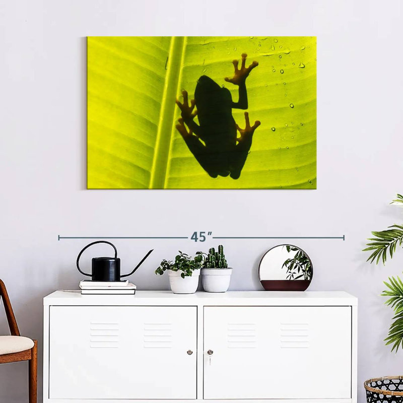 Frog On Leaf, 24" H x 36" W