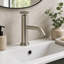 Robin Basin Mixer Tap - Brushed Nickel-1641190853