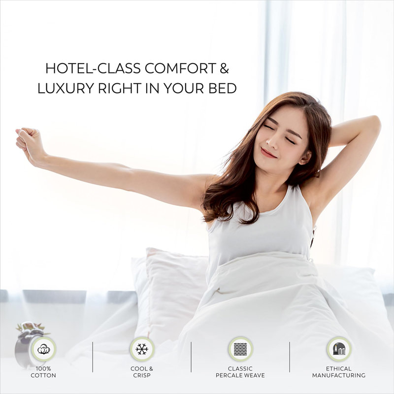 100% Cotton Arctic White Sheets and Pillowcase Set, Queen Sheet Set with Fitted Sheet + 2 Pillowcases, Light Green