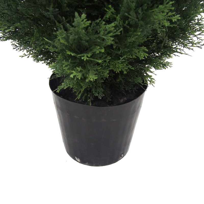 Topiaire de cèdre Yarbro en pot, H 84 po x l 13 po x P 13 po