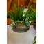 Rish Metal Hanging Planter