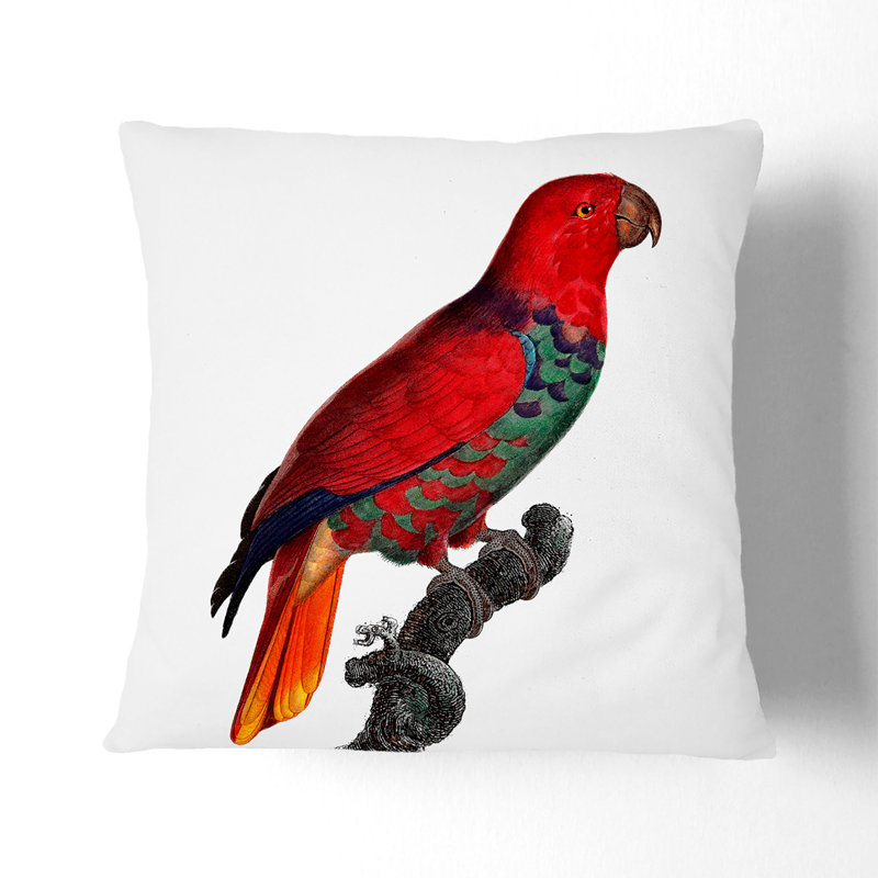 Square Cushion, 55cm H x 55cm W x 20cm D, Black
