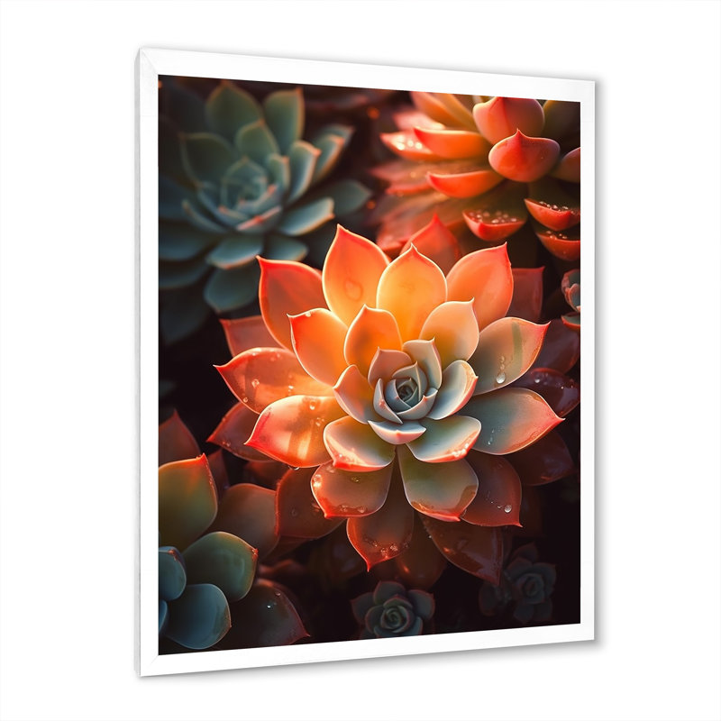 " Orange Succulents Bloom ", White Single Picture Framed, 44" H x 34" W x 1.5" D