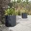 Albree Metal Plant Stand-923045128
