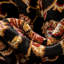 Conti Oriental Area Rug-1168878647