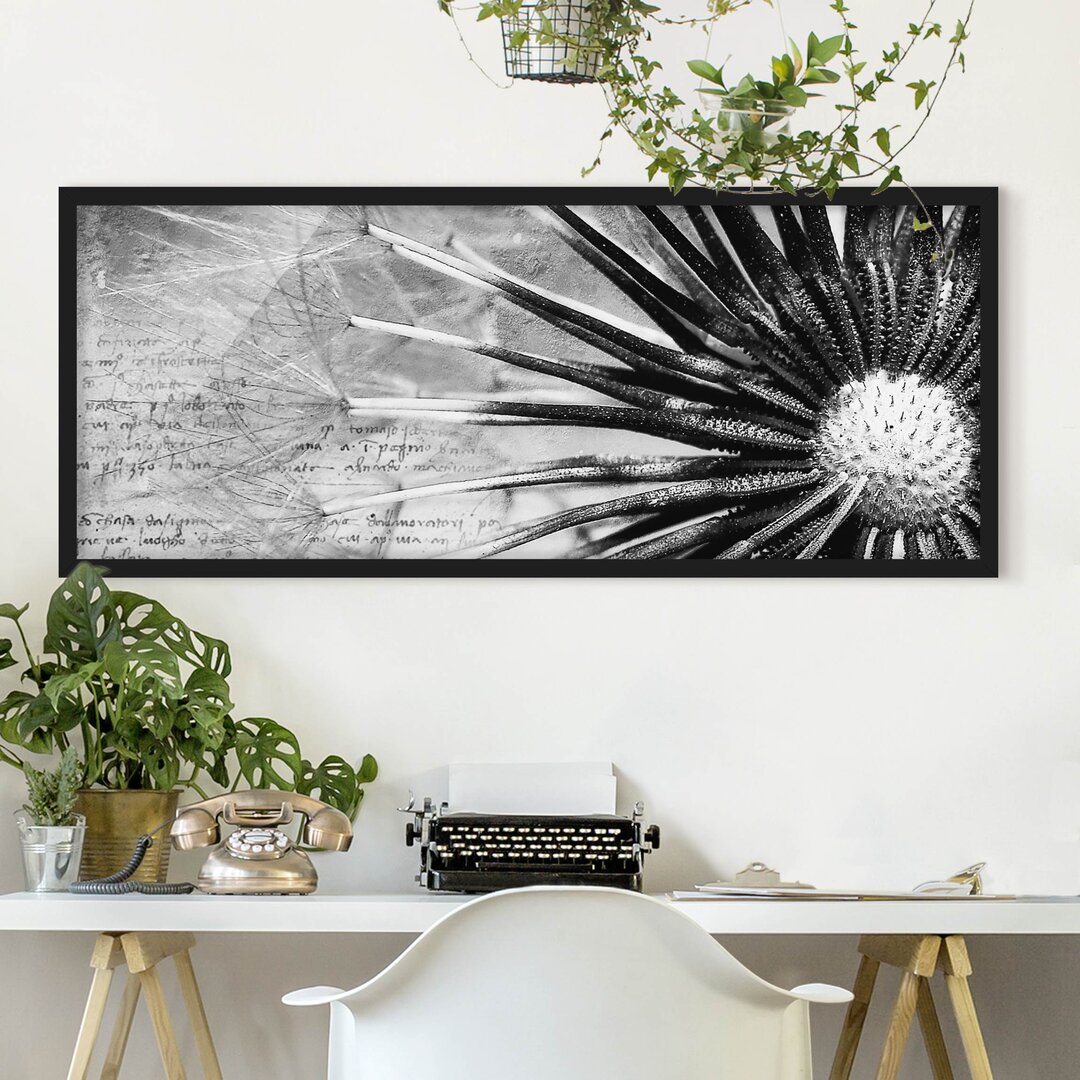 Gerahmtes Poster Dandelion Black & White