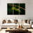 Hanging Praying Mantis-512829861