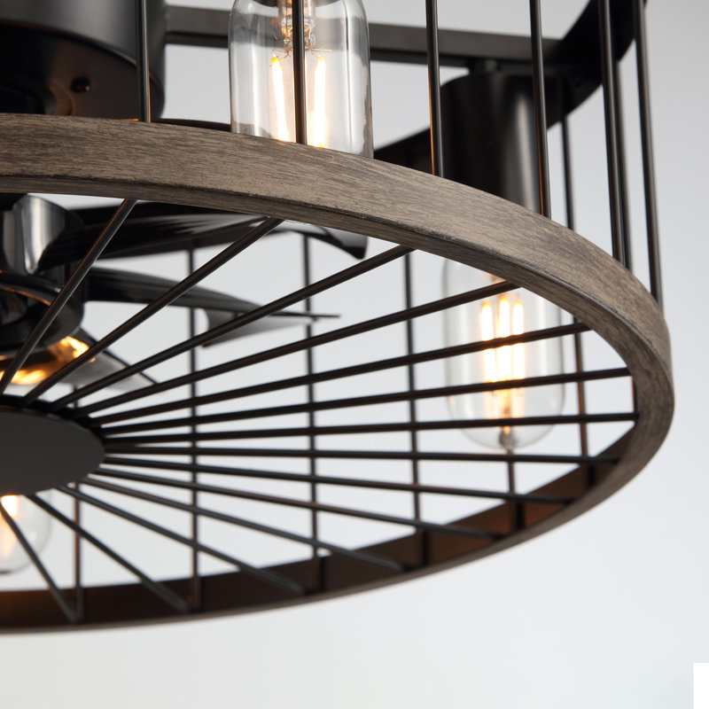 Luminaire à cage noire 20 po