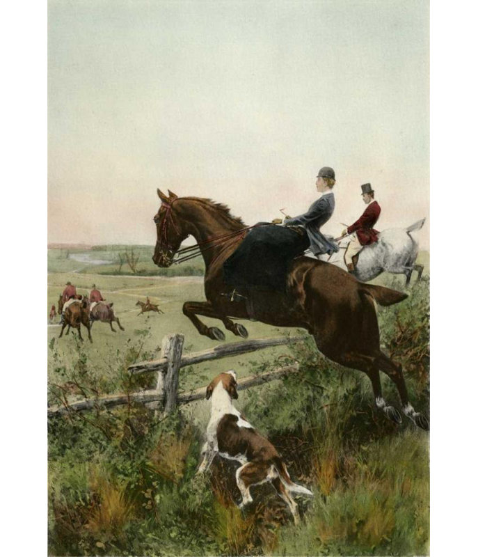 Art sur toile tendue avec Alcott Hill® Blinks, Thomas Gallery: In for a Brush, H 18 po x l 14 po
