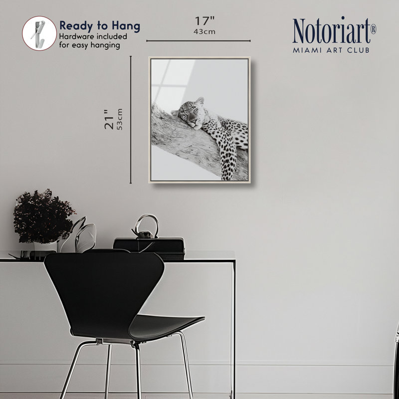 «Sleeping Leopard BW», impression murale encadrée sur bois par Notoriart, cadre argenté, 16 x 20, 21"H x 17"W, Silver Frame