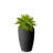 Wicker Planter-101174436-101174434