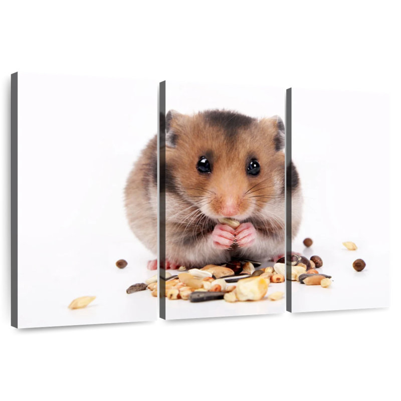 Hamster Eating Nuts And Seeds, 36" H x 57" W