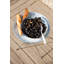 Fish Camp Large Platter