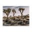 « views of joshua tree ix », reproduction de photo sur toile tendue-948424184