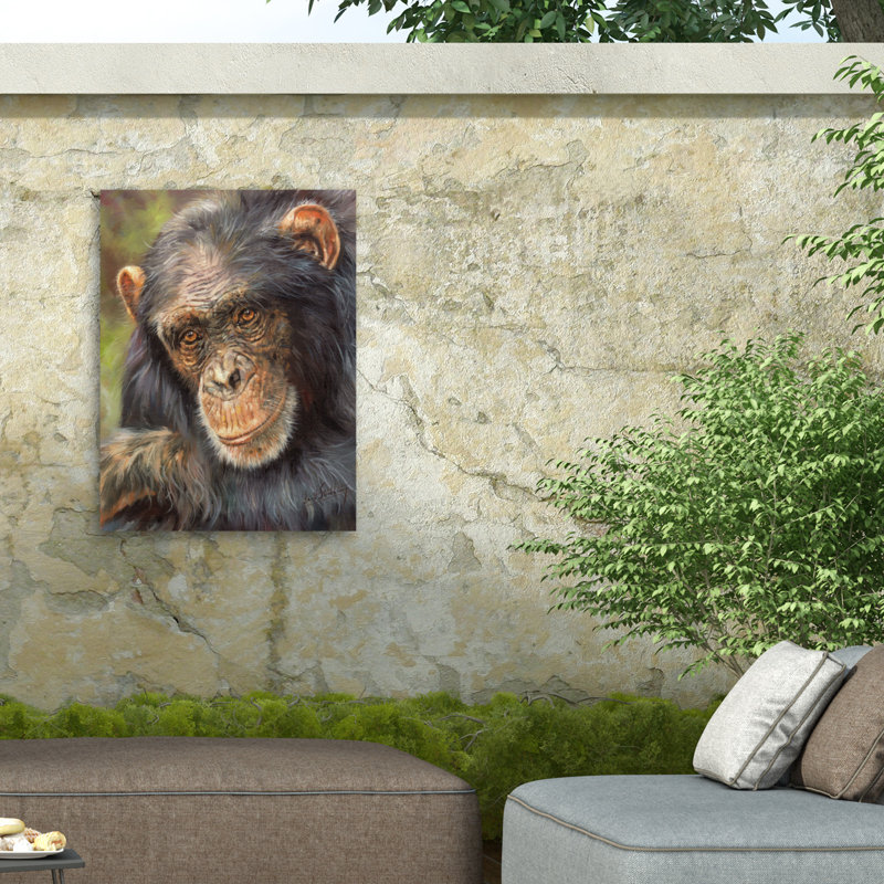 Toile d'extérieur David Stribble Chimp The Thinker, H 14 po x l 19 po