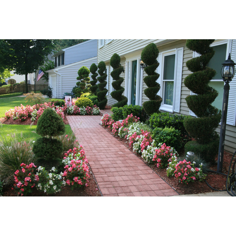 House Landscaping Project by Imagewerks - Wrapped Canvas Print, 81cm H x 122cm W