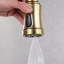 Sumerain S6132P-XX-6133 Pull Out Kitchen Faucet-101750563