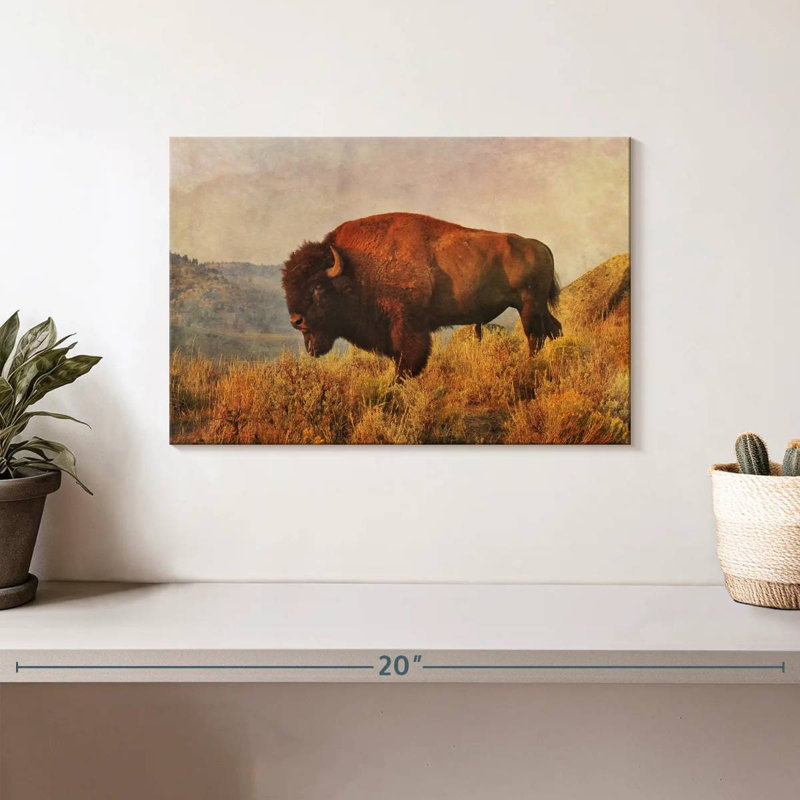 Bison sauvage sur le terrain, H 8 po x l 12 po
