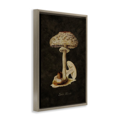 Vintage Mushroom Study Floater Canvas by Tina Higgins Designs, Inc.