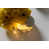 Gold selected