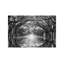 Oak Alley Reflection - Print on Canvas-1160148456-1119202964