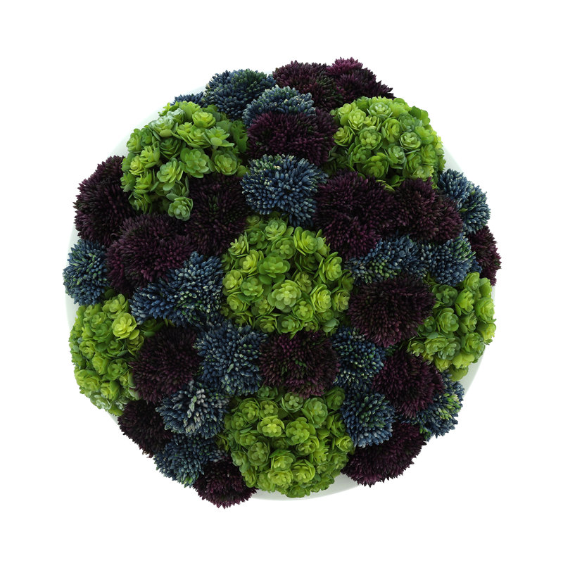 Sedum and Chick Succulent Arrangement
