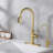 Sumerain S6132P-XX-6133 Pull Out Kitchen Faucet-100943513