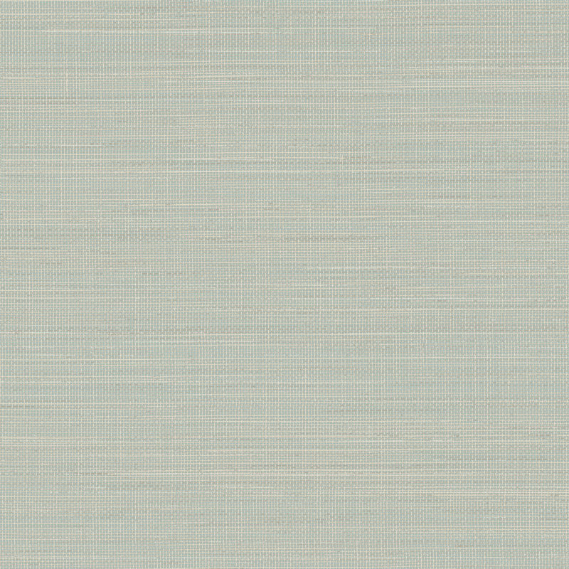 Rouleau de papier peint L 33 pi x l 20,5 po Doss, Turquoise