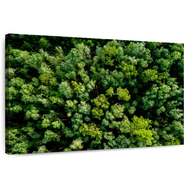Alvord Lush Green Woodland, H 24 po x l 36 po