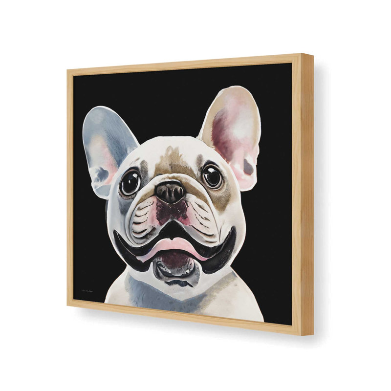 «The Bulldog» par Seven Trees Design, reproduction d'art, L 30 po x H 30 po, Érable, Impression encadrée