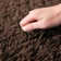 Machine Tufted Shag Area Rug