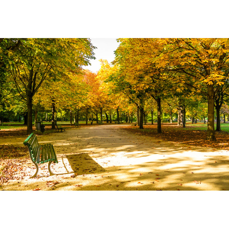Zoo Berlin by Dubassy - Wrapped Canvas Print, 30cm H x 46cm W x 3.8cm D