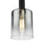 Beniah - Light Matt Black Pendant-857879803