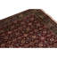 Oriental Area Rug in Navy
