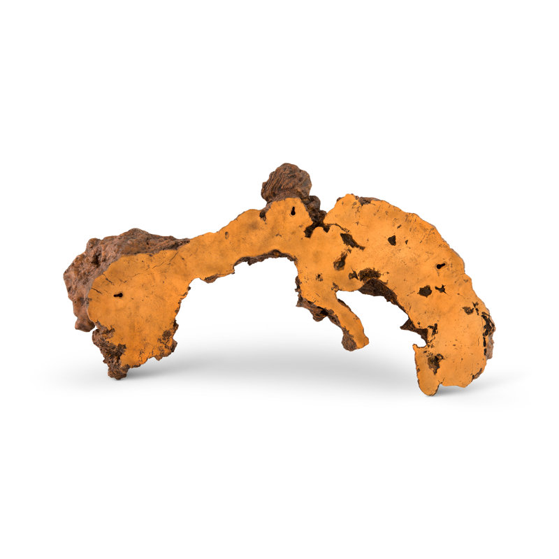Cast Naturals Burled Root Wall Décor