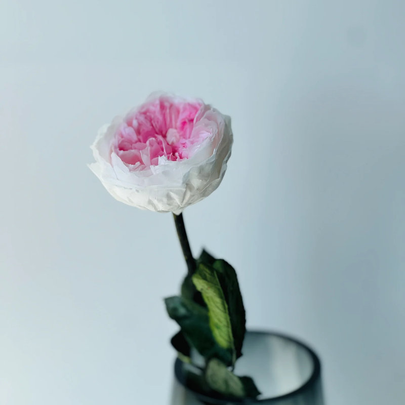 Arrangement de roses préservées dans un vase