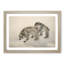 Two Monkeys by Kansetsu Hashimoto - Picture Frame Painting Print-55605921-55605926