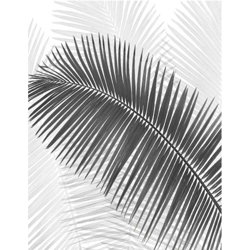 « palm frondes » par scott j. menaul, impression sur toile tendue, H 30 po x l 20 po