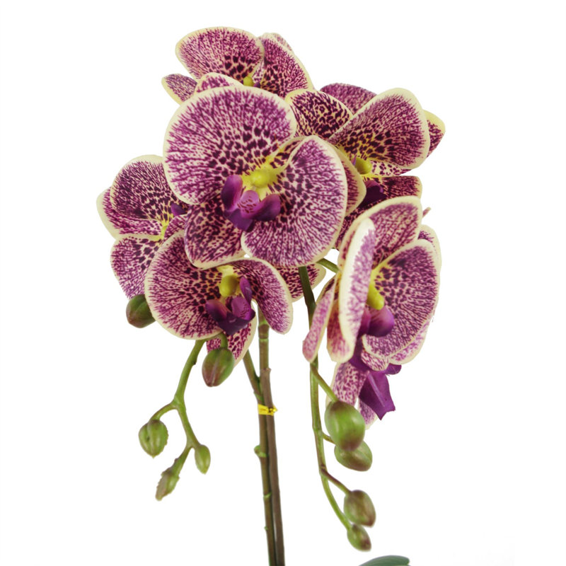 50cm Faux Plant in Pot Liner, Purple Leopard