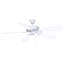 Ventilateur de plafond standard à 5 pales 52 po avec chaînette Ragnar-27773222