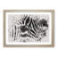 Zebra Vol.1 Watercolour - Picture Frame Graphic Art-62776001-62775999