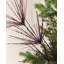 74cm Polystyrene Spray-1379509212