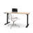 Adjustable Standing Desk-443380252-429288605