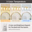 Applique murale 4 lumières pour salle de bain moderne en or brossé et verre givré-1094279562