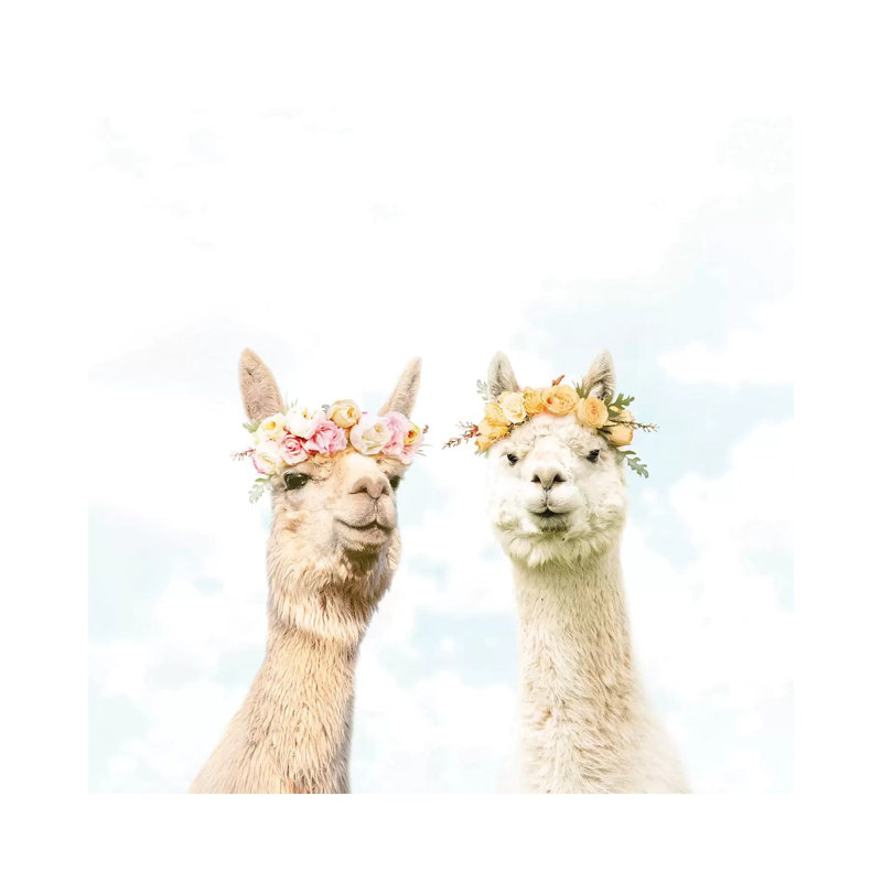 Alpacas In Bloom by Erin Summer - Wrapped Canvas Print, 30.48 cm H x 30.48 cm W