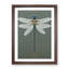 Breathtaking Dragonfly - Single Picture Frame Print-1298586922-1298586918