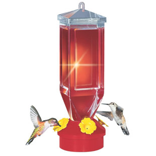 Hanging Hummingbird Feeder