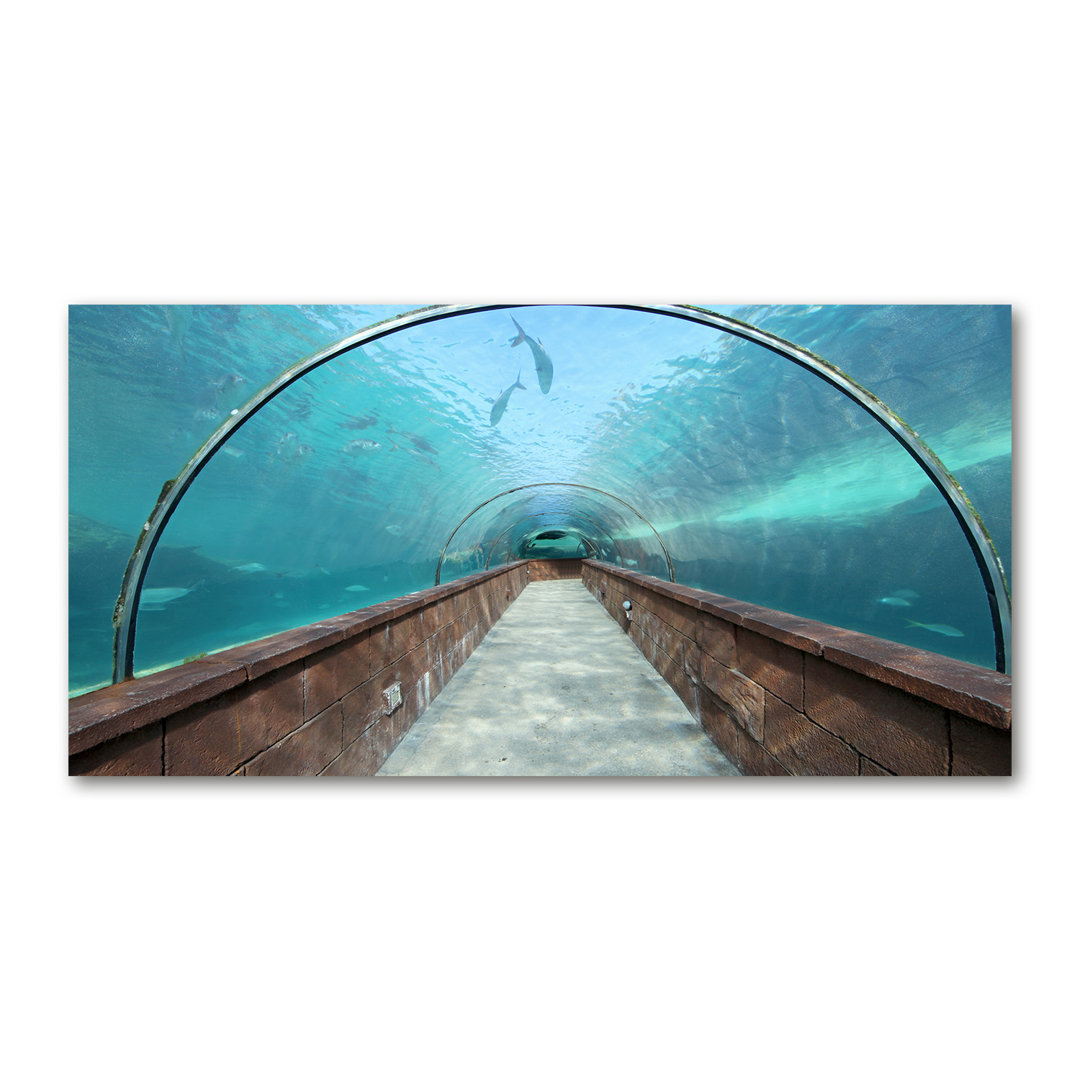 Glasbild Der Tunnel des Aquariums