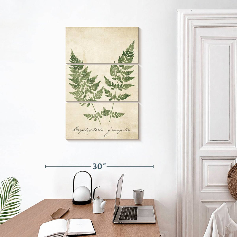 Harnek Vintage Ferns No Border, H 32 po x l 20 po